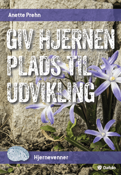 giv-hjernen-plads-til-udvikling_anette-prehn