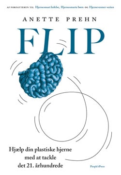 FLIP Book